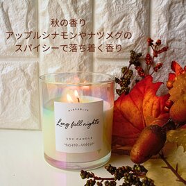 秋の香り Long fall night  キャンドル アップル シナモン アロマキャンドルの画像