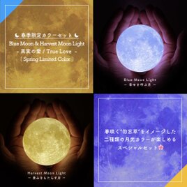 【New!】Blue Moon & Harvest Moon Light (Limited Color)｜月ライト(小)の画像