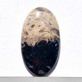 パームルートアゲート[53] 37x21mm 32Cts　天然石 ／ ルース ／カボションの画像