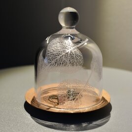 Botanico glass dome Ssize(ナンキンハゼ)の画像