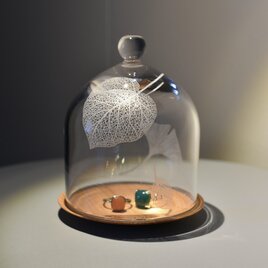 Botanico glass dome Ssize design A(ウンベラータ)の画像