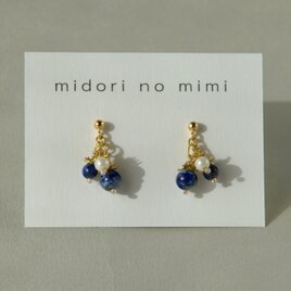 青い実の耳飾り　miniピアスの画像