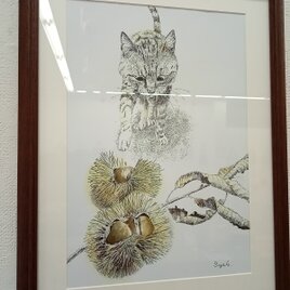 ワイド四つ切りサイズ★ペン画　複製版画　『栗』猫の画像