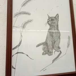 ワイド四つ切りサイズ★ペン画　複製版画　『誘惑』猫じゃらし　猫の画像