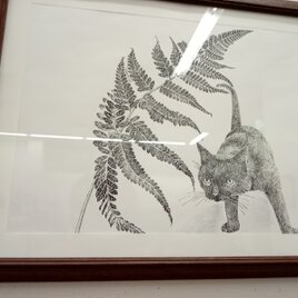 ワイド四つ切りサイズ★ペン画　複製版画　『羊歯』　黒猫の画像