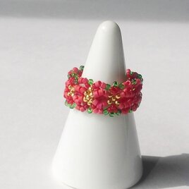 Grass wreath ring / ポインセチアの画像