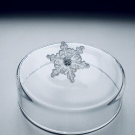 雪、ついてるよ　no.20 雪の結晶　ピンブローチ　多重星形角板の画像