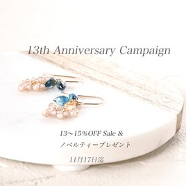 13th Anniversary　フェアの画像