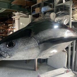 リアル魚オブジェの画像