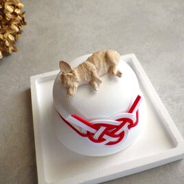 アロマストーンの鏡餅 ■ コーギー ■ いぬのいるお正月　いぬのいる暮らし