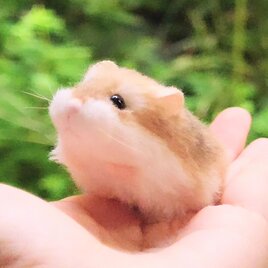 ロボロフスキーハムスターのぬいぐるみ