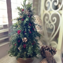 ミニクリスマスツリーの画像