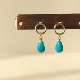 キングマンターコイズ×マルピアス(14kgf)の画像