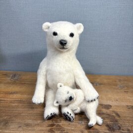 シロクマ＊ホッキョクグマ＊Polar bear＊プレゼントの画像