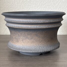 Q003植木鉢アガベサボテン多肉塊根観葉植物