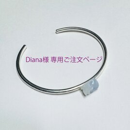 Diana様専用ご注文ページ　貔貅石＋シルバーバングルの画像