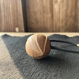 つぼみの画像
