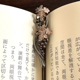 葡萄の画像