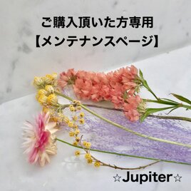 【オーダー品】 Chizuru様　専用ページの画像