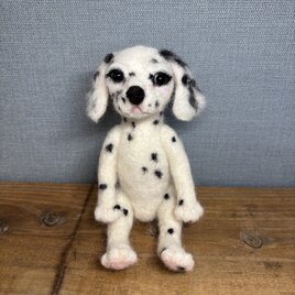 ダルメシアンNO.3＊犬の画像