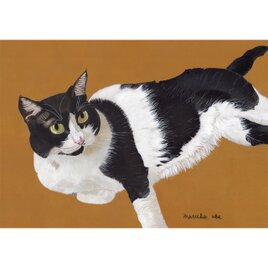 ウメ2」猫イラスト（原画） | iichi 日々の暮らしを心地よくする