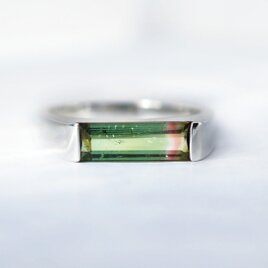 一点物　Bi-color tourmaline ringの画像