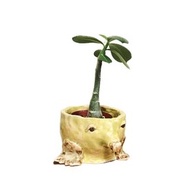 モグラの植木鉢 手びねり陶芸 mmmmadepotteryの画像