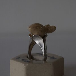 Usa Ringの画像
