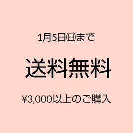 1/5㈰まで3,000円以上のご購入で送料無料★ご一読くださいませm(_ _)mの画像