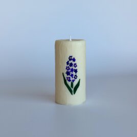 Hyacinth - Blueの画像
