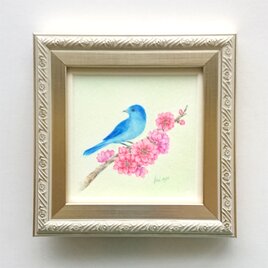 原画作品 青い鳥「春の訪れ」の画像