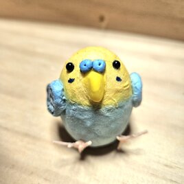 セキセインコのマグネットの画像
