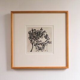 銅版画"ハゼノキノミ"（額装）の画像