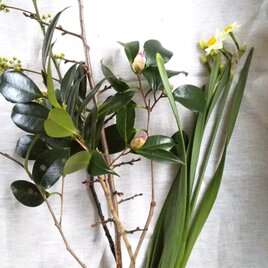 mio様専用 季節の茶花 1月の画像