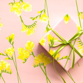 フリージア　デザインペーパー　A4