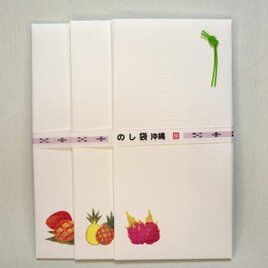 のし袋 沖縄 果実　 3柄3枚セットの画像