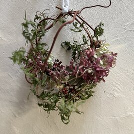 春を待つリース　鳥の巣(ミナヅキ)の画像