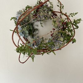 春を待つリース　鳥の巣(紫陽花)の画像