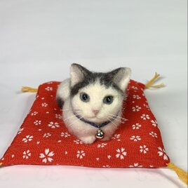 絶滅危惧種 ユキヒョウ | iichi 日々の暮らしを心地よくする