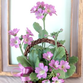 ☆クレイフラワー作品（春の訪れ・桜草ー2）☆の画像