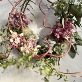 春を待つリース　鳥の巣(ミナヅキ、紫陽花)の画像