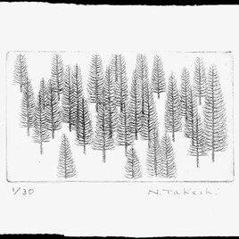 冬木立・2025A/銅版画（作品のみ）の画像