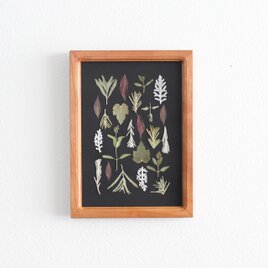 Pressed flower フレーム〜押し花アート〜A5 Cherryの画像