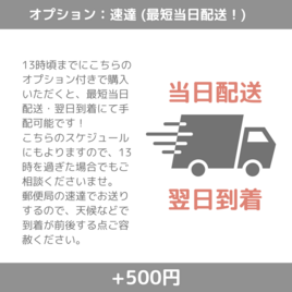 オプション　速達【ER101】の画像