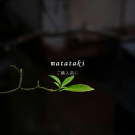 ご購入前にお読みください