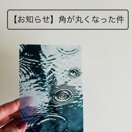 栞の角が丸くなった件の画像
