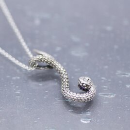 珠玉を咥えたヘビ/シルバーペンダント/silver925/50cmロールチェーン/アメジストの画像