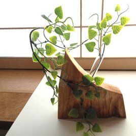 木の一輪挿し　トチの木　自然の木の画像
