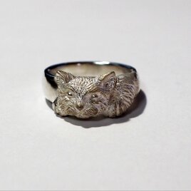 永遠の仲良し　ねこneko子猫