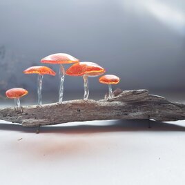 ガラスのキノコ　置物　オブジェ　オレンジ5本の画像